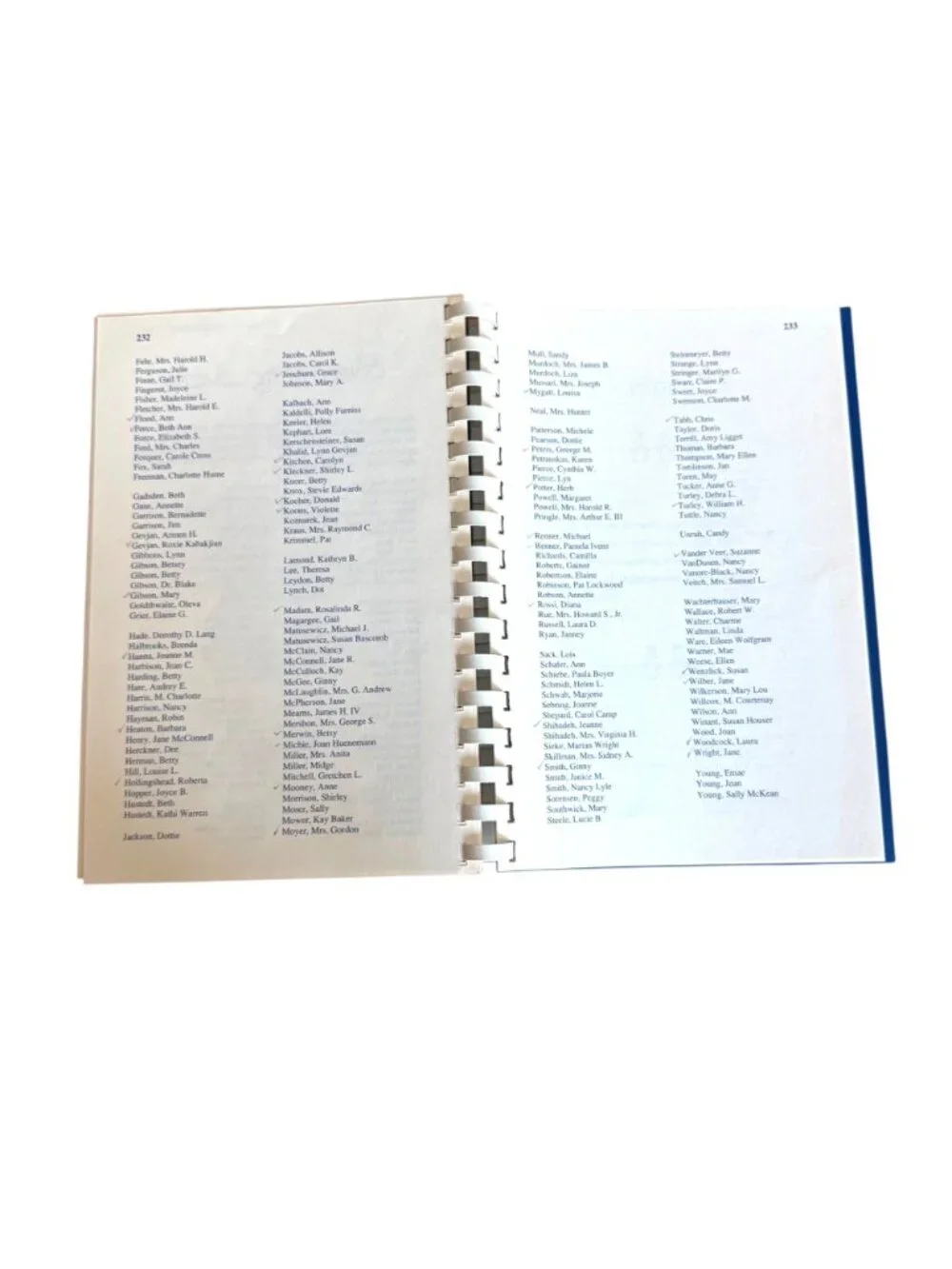 Heavenly Hosts Cookbook Bryn Mawr Presbyterian Church PA 1991 Community Recipes